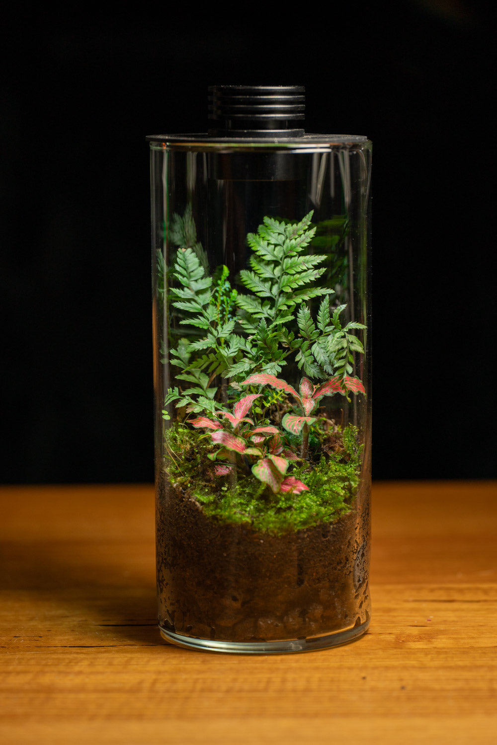 Handmade Terrariums