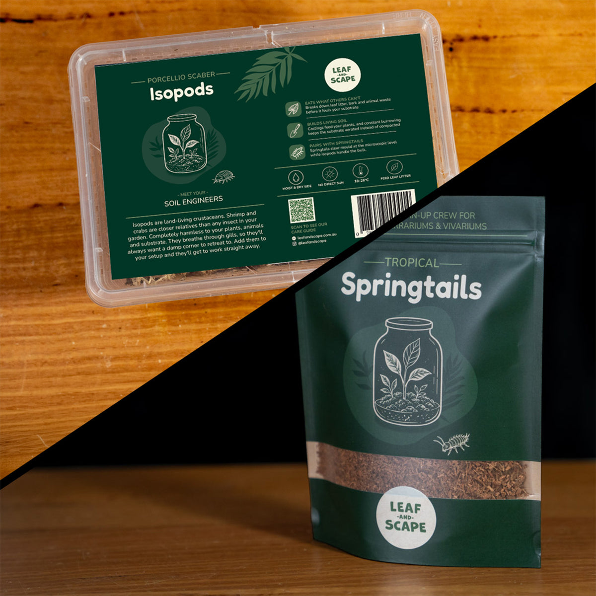 Bioactive Cleanup Crew Bundle — Live Springtails (100+) & Isopods (20 Porcellio scaber)