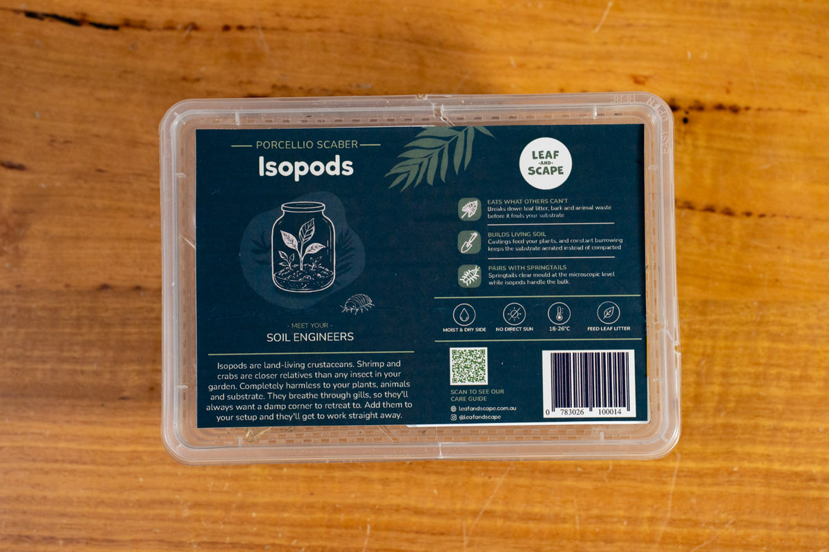 Live isopod cleanup crew for bioactive terrariums, vivariums and reptile enclosures
