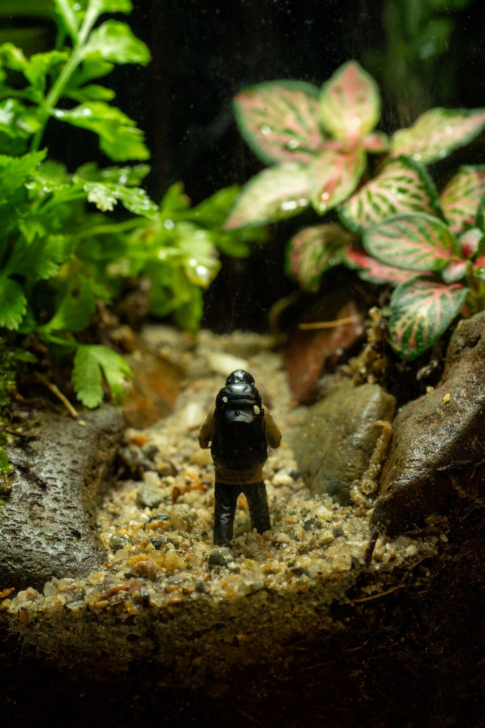 Tamborine Large — Planted Terrarium with USB LED Light