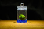 Marimo Moss Ball in Glass Jar