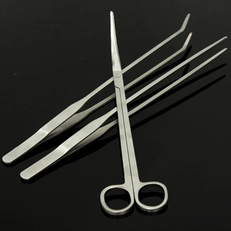 Scaping Tool Kit - 4 Piece Stainless Steel Set
